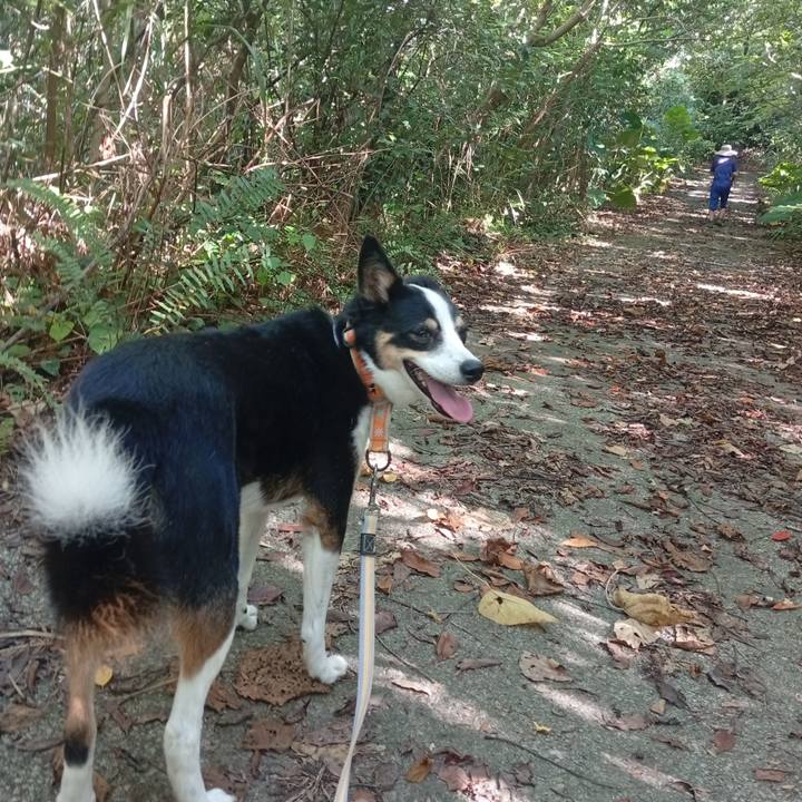 Aa50754c 5cdf 4805 9384 9c33353a15a8 1755962003029