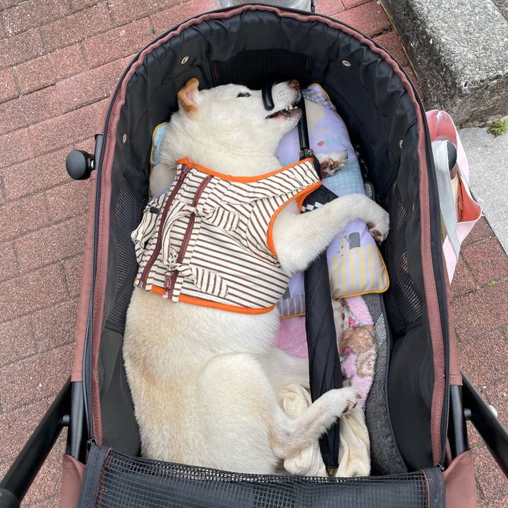 Aa50817a ab95 4c4e 8070 f2d6ed611eaf 1656329131365