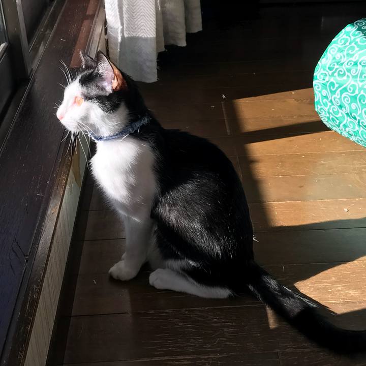 Aa508eea 339d 4cf3 a02e dfb2bbdeb2a0 1515724520139