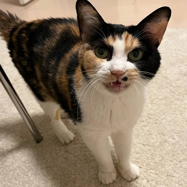 Aa5092b5 2b58 4dcd 9627 769b7714b184 1759030990287