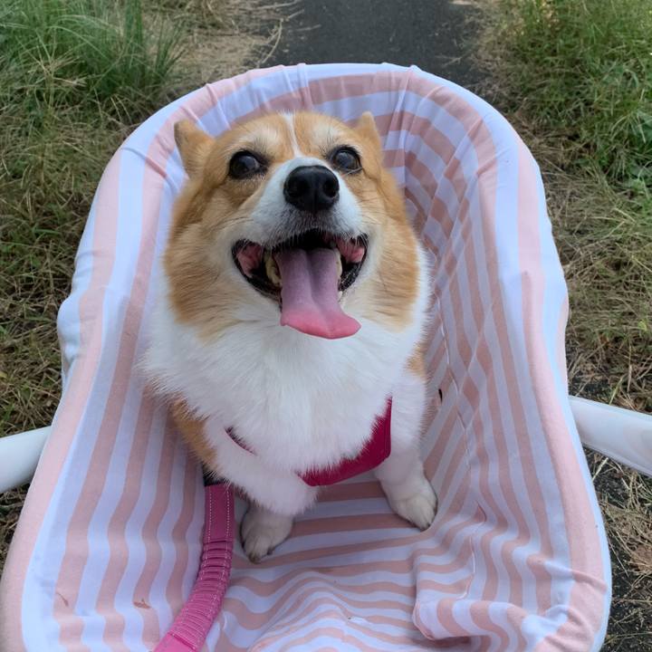 Aa50aa4c 5a25 4ec1 9373 c0a0c4f2cc48 1665462967706