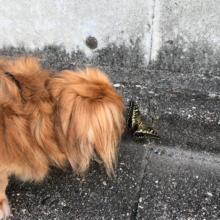 Aa50d43b 6003 4a1f 8c82 4688975eed9e 1568151994686