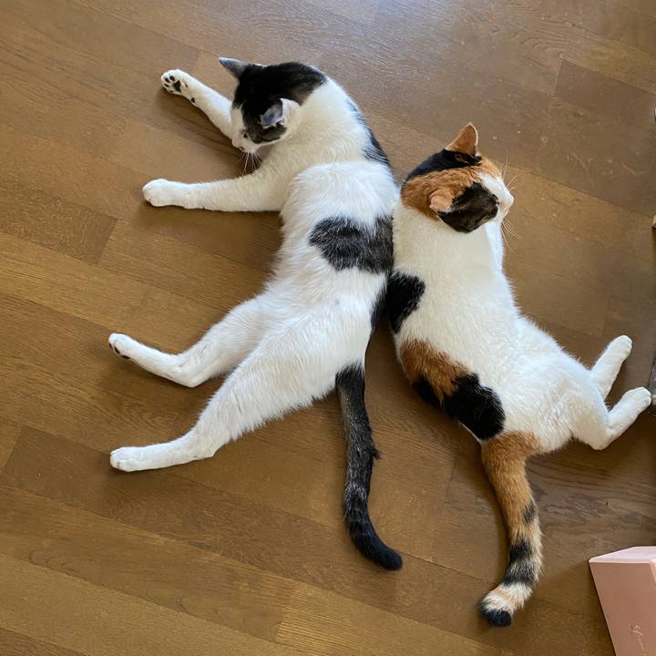 Aa50dc4c 41fe 4d5c 95ae b07378e61020 1628226242325