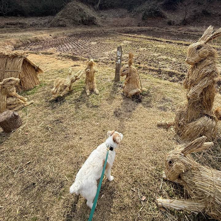 Aa50e92e 720f 4797 bcb6 251046a22eaa 1771414224742