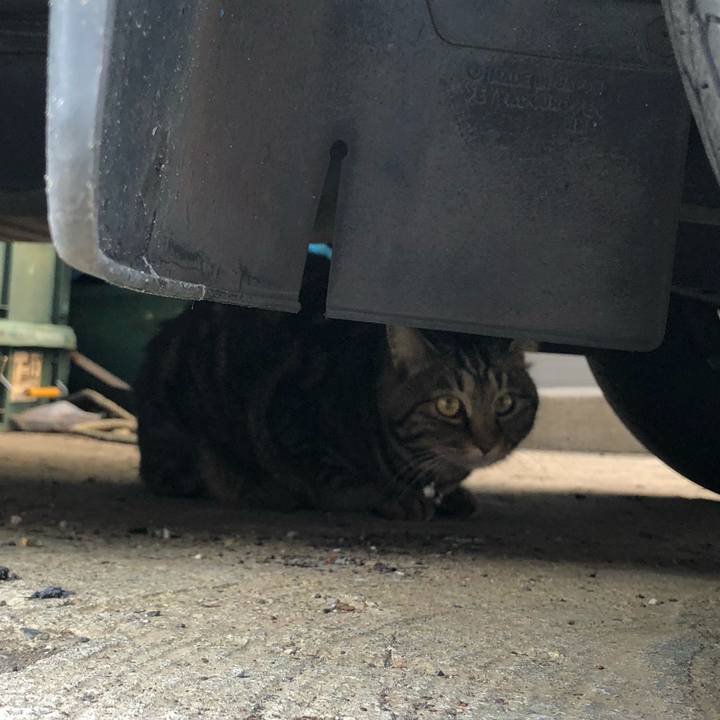 Aa510fb4 68f3 4806 9338 00ecf16da139 1552589988506