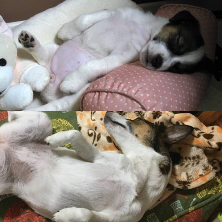 Aa5113fd dd5e 4b3f 96c4 cdea98fe4bf0 1532524157463