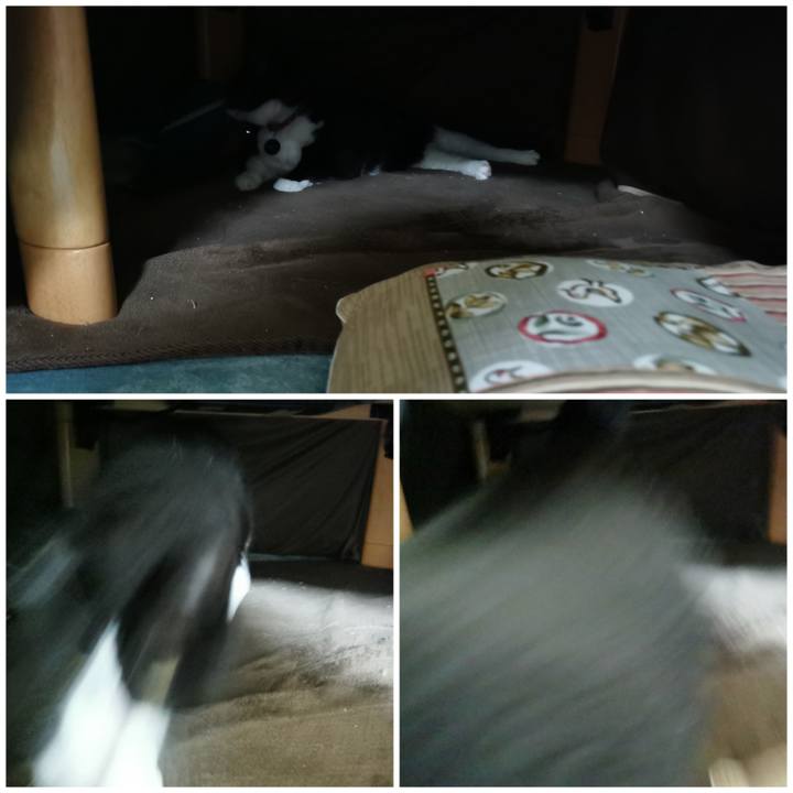 Aa5138e9 97e1 47ee 8ebb 7b95b28ec982 1669093713535