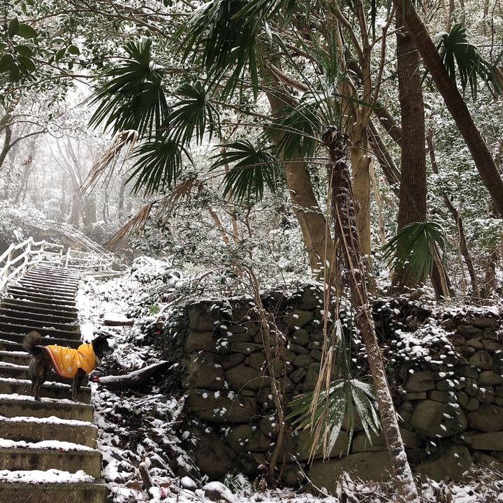 Aa514876 8fad 43be 8bf1 257122078173 1613624087178