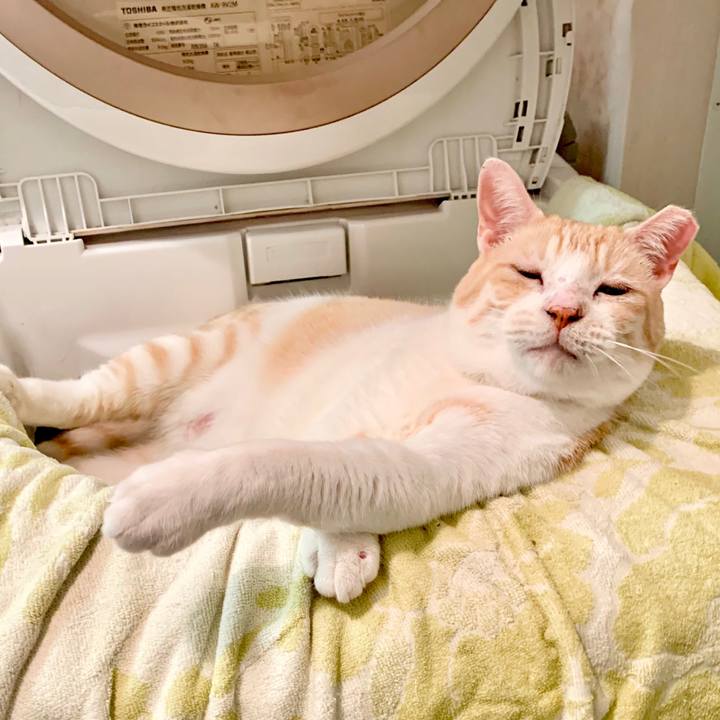 Aa51599a 305d 45b1 b6d2 6bdd3723e595 1632206343747