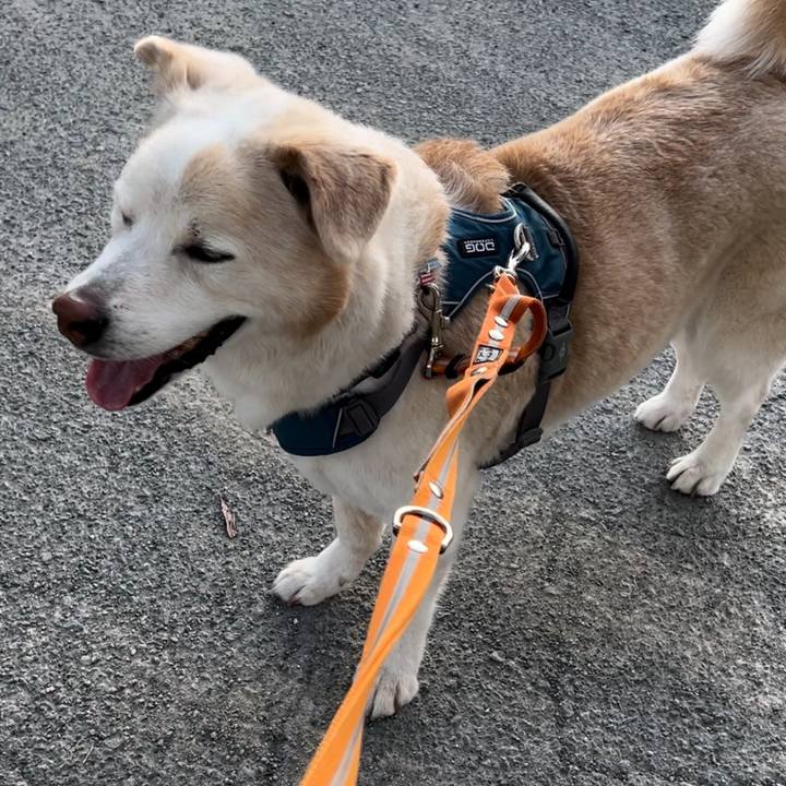 Aa51ed48 1978 4e18 b2b1 96b28e08908b 1717855761505