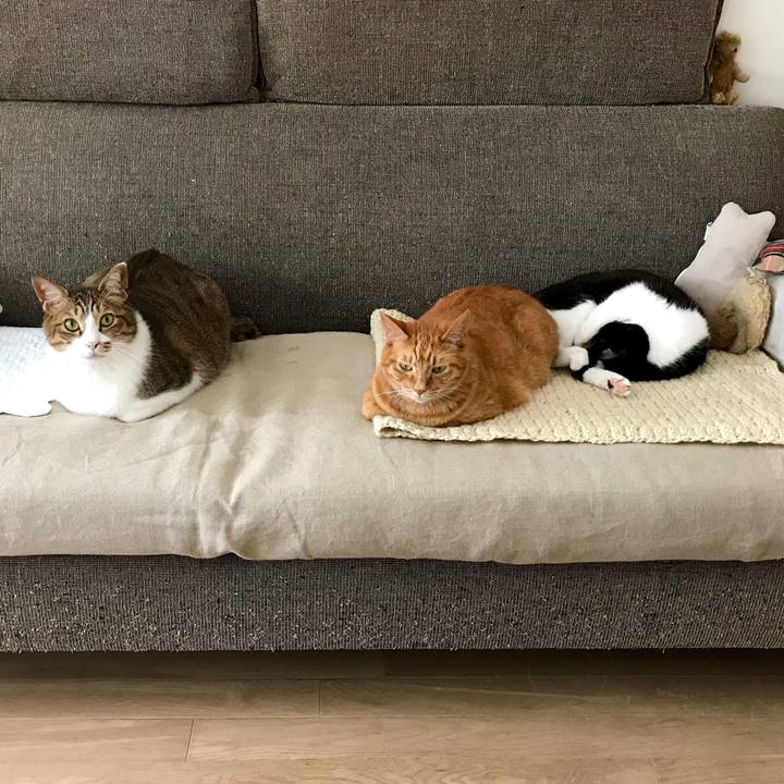 Aa520ef9 3ee8 4e8e b262 549cb379cff7 1527664743609