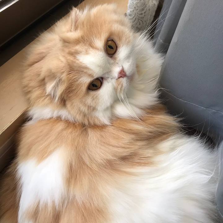 Aa5219f1 e0fa 4d52 9162 8562997661ef 1568527768760