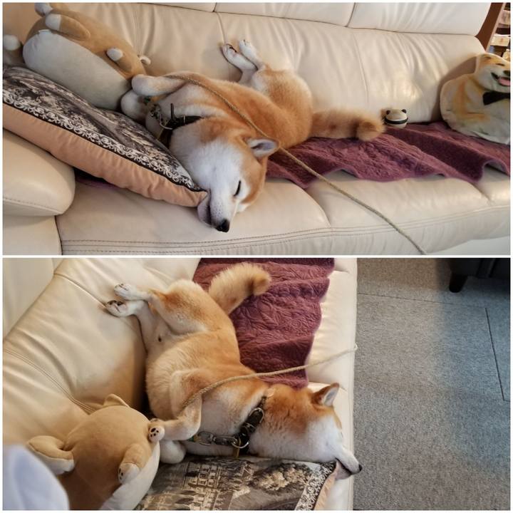 Aa5233ab 4e94 43ca 870c 0c186be8924b 1590879666503