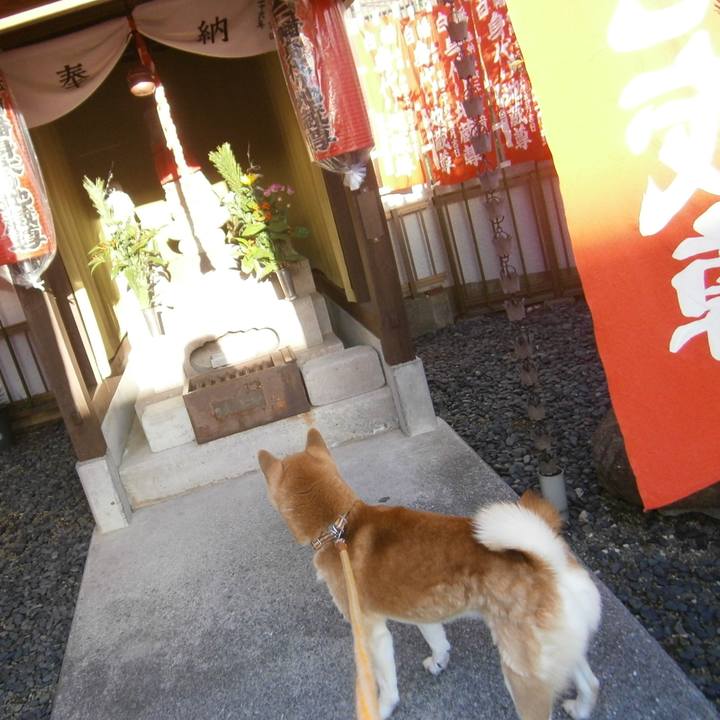 Aa5246f0 1bfd 4f06 adb7 baccbb0cf361 1642146029014