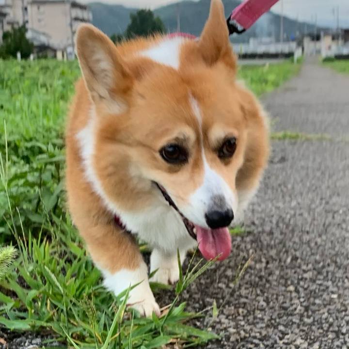 Aa5252de 7c3a 4692 84b6 c24c29d8c70e 1628200773190