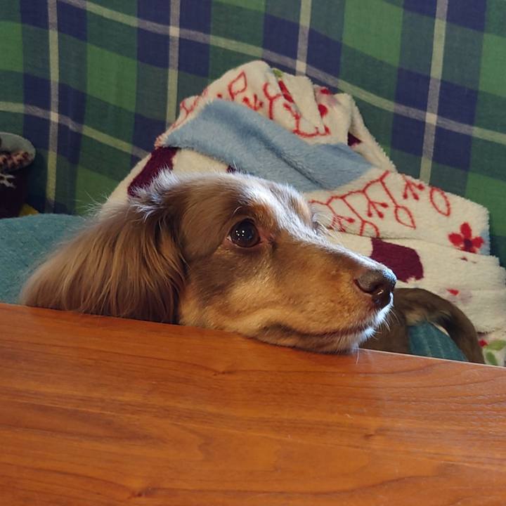 Aa52e6ed b078 411d 9d34 5aea7524fc59 1687061368061