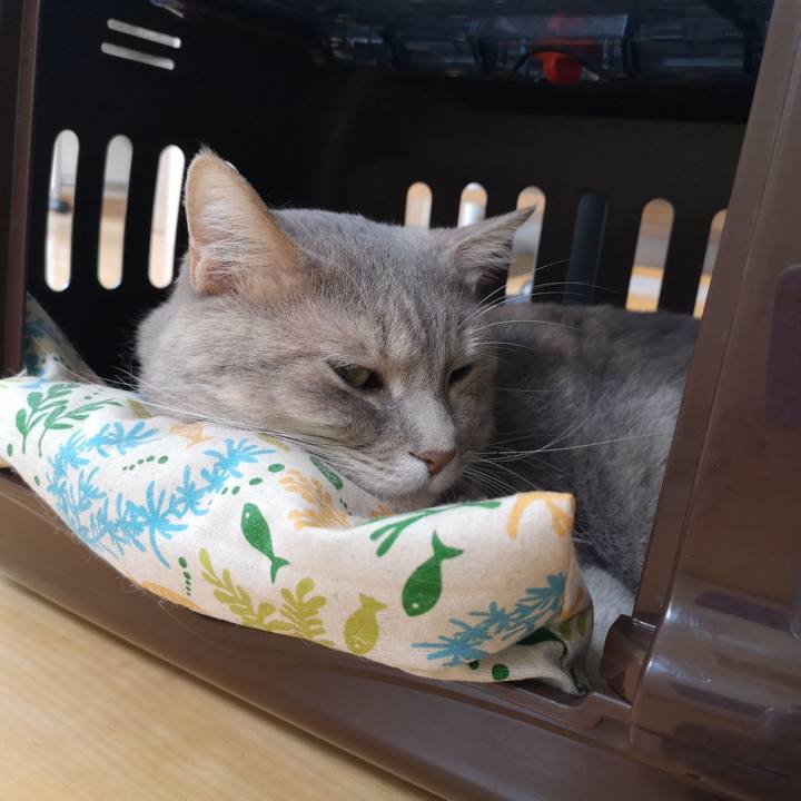 Aa530481 d69c 4757 89ba ccefa4db2043 1568176894932