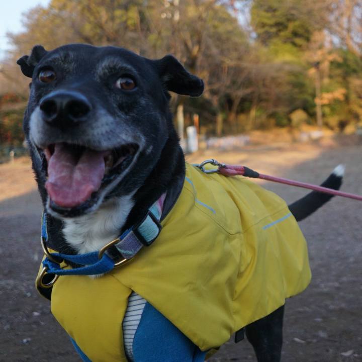 Aa53059e b254 48f3 a7a6 8e1414b78faa 1768271959559