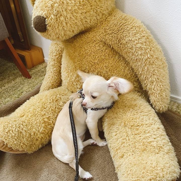 Aa531db9 0596 4dfd 9909 a80443d839f3 1596086166522