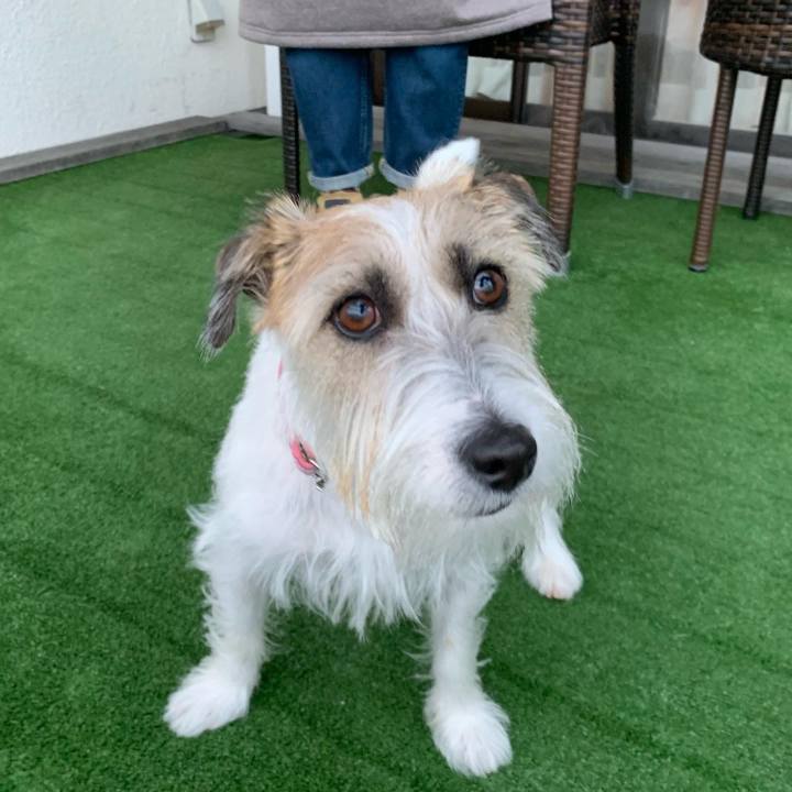 Aa53387f 4d02 4957 ab8b fe4d4e8b41cc 1669595728951