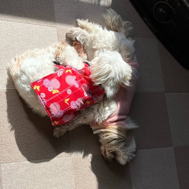 Aa5346fd 2f97 46de 8a9e 05f5c3858d55 1707279492998