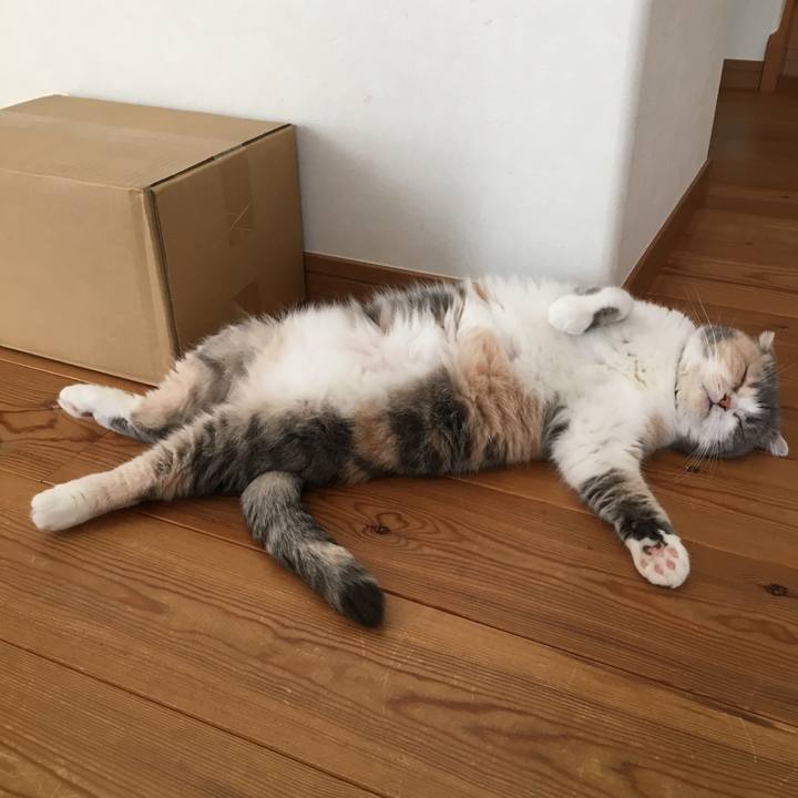 Aa53ceed 405f 4e62 89c2 e5db90a50357 1557443073141