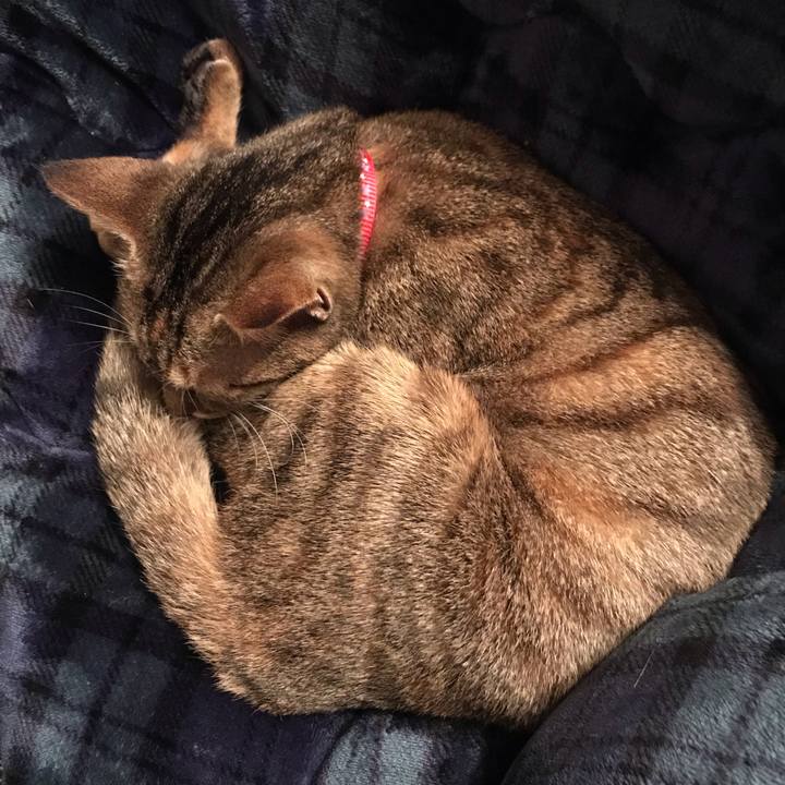 Aa53cf69 7378 41dd b773 34571278ce21 1577102160969