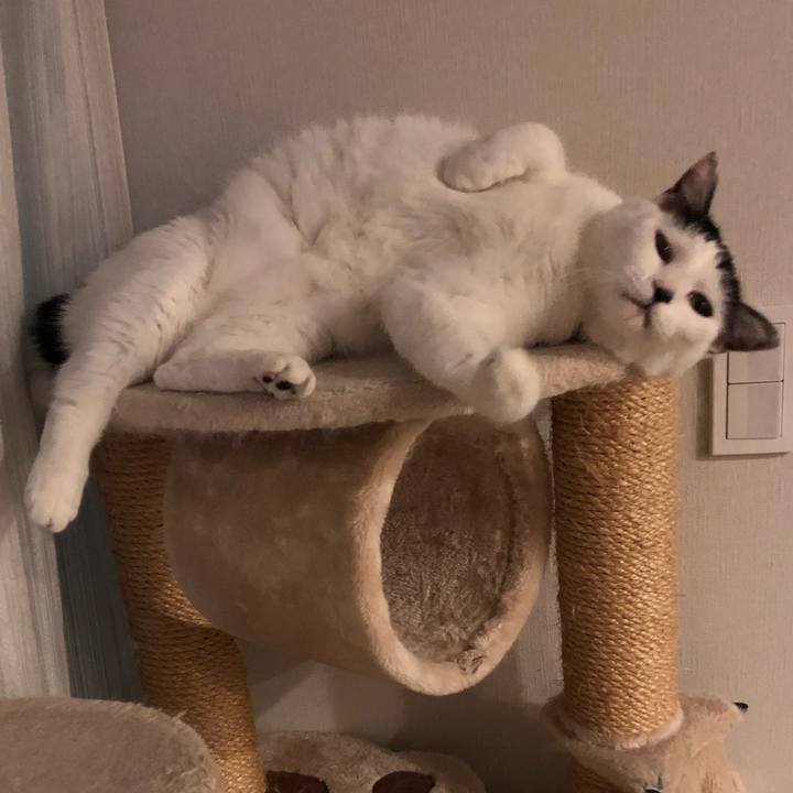 Aa53e56f 32fc 49b9 b744 0eb54e5e8fd1 1542454085053