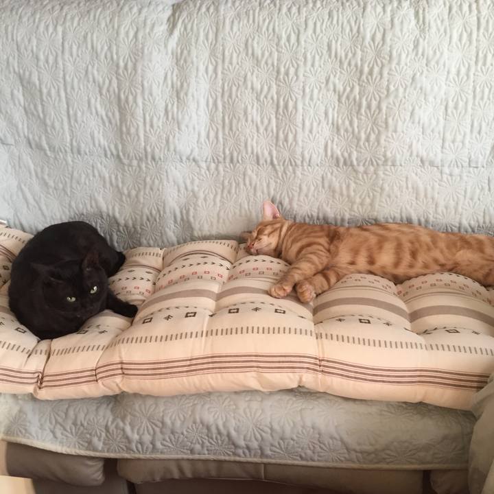 Aa540fb7 5ef1 49e9 80a4 b30cdb3dfbd7 1528276922759