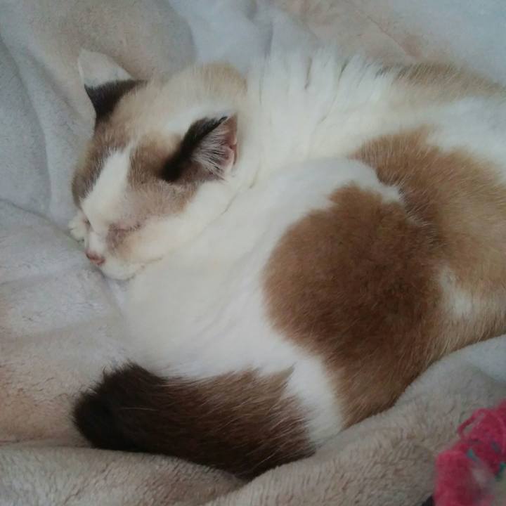 Aa5411eb 4671 4292 963c 9a8593519277 1508475564655