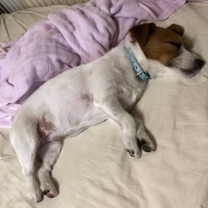 Aa542618 8db9 488e ab79 4bb57fe80bda 1532233694643