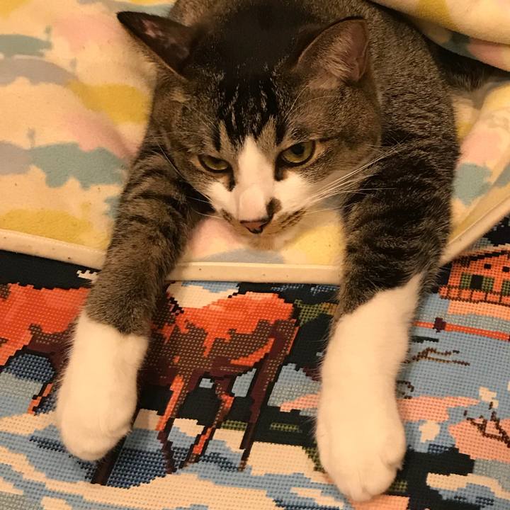 Aa54425a 4ad7 4227 be7e fd42e3814089 1527601002567