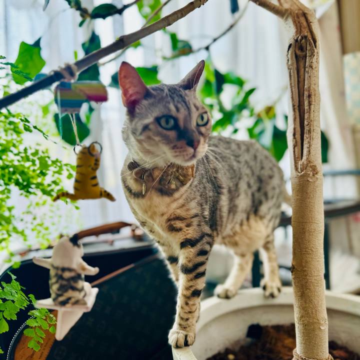 Aa544327 e736 4c86 b515 ffa2e119caac 1755646820453