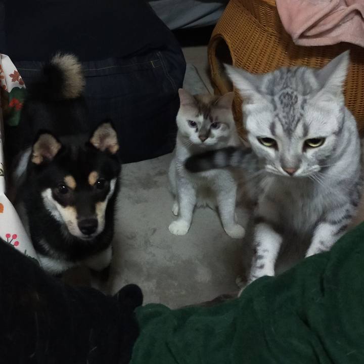 Aa545b12 86ac 4fb4 9723 131666f9b88e 1599114910035