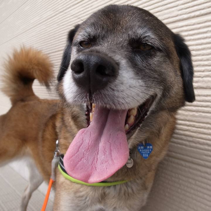 Aa54d514 8851 4cb8 b3fd ff0e112f9eec 1582247997704