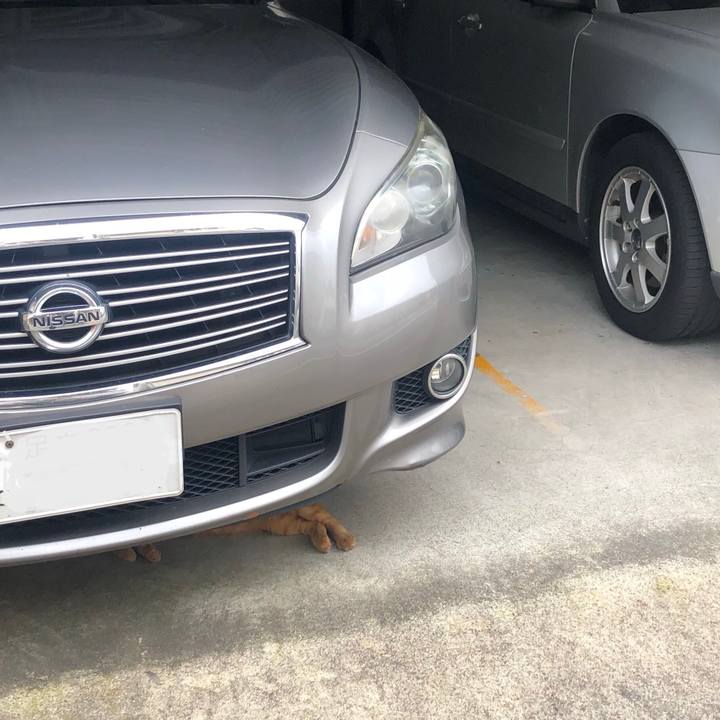 Aa54e3ac 2c4a 415f 9a65 9237e6e584b2 1599976131940