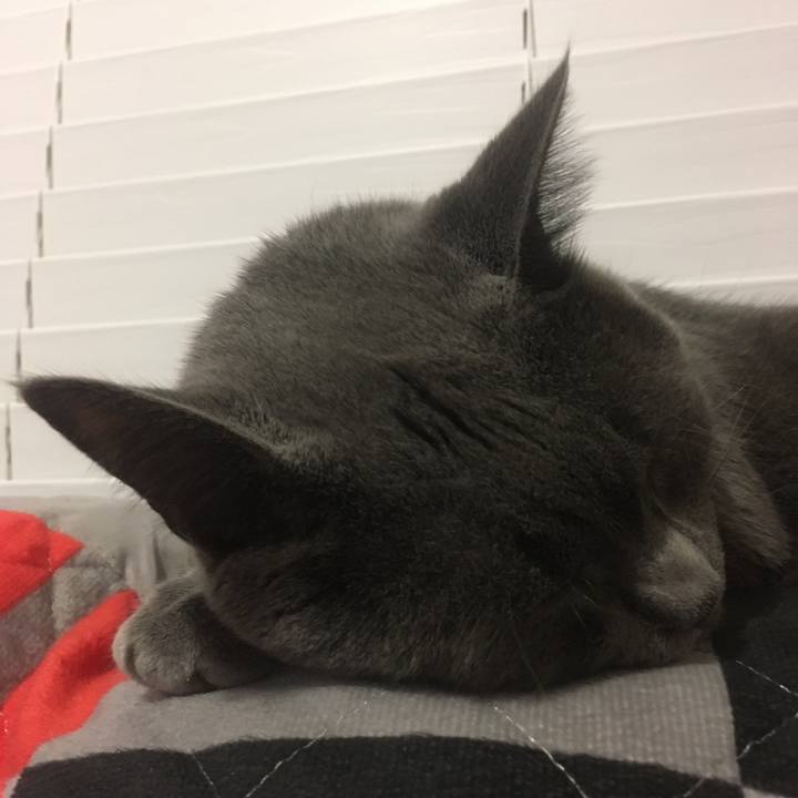 Aa54e756 9005 4386 9e3c 1659fe2c9b03 1636425059038