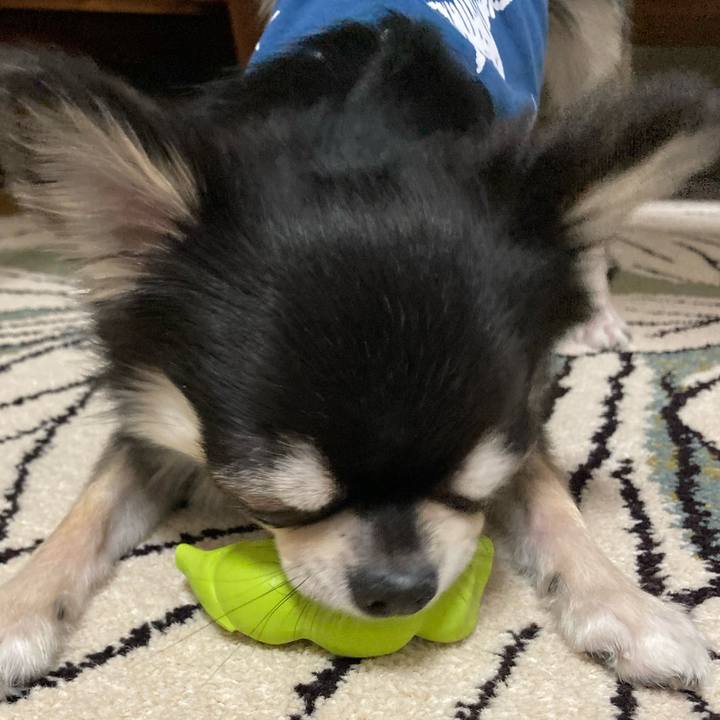 Aa54f76a b036 4247 8dcc 5ebc46f1b90c 1619965329301