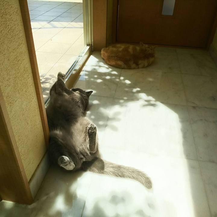 Aa5510b9 125e 4452 a4e6 ba3ec9a6a03c 1531531324547