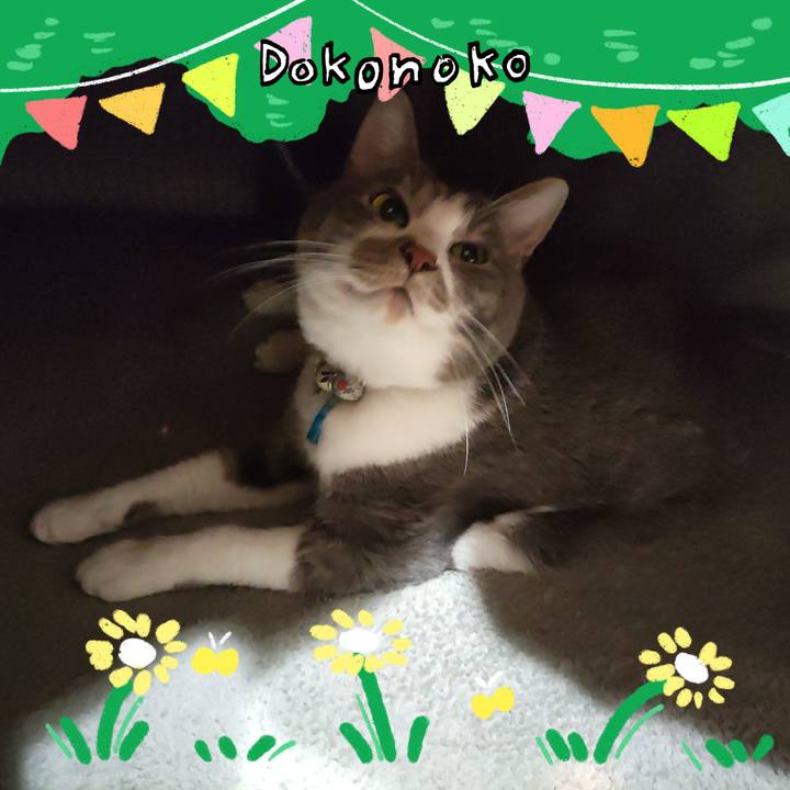 Aa5557d7 e535 466b bb07 84cc9edcdddb 1711110259301