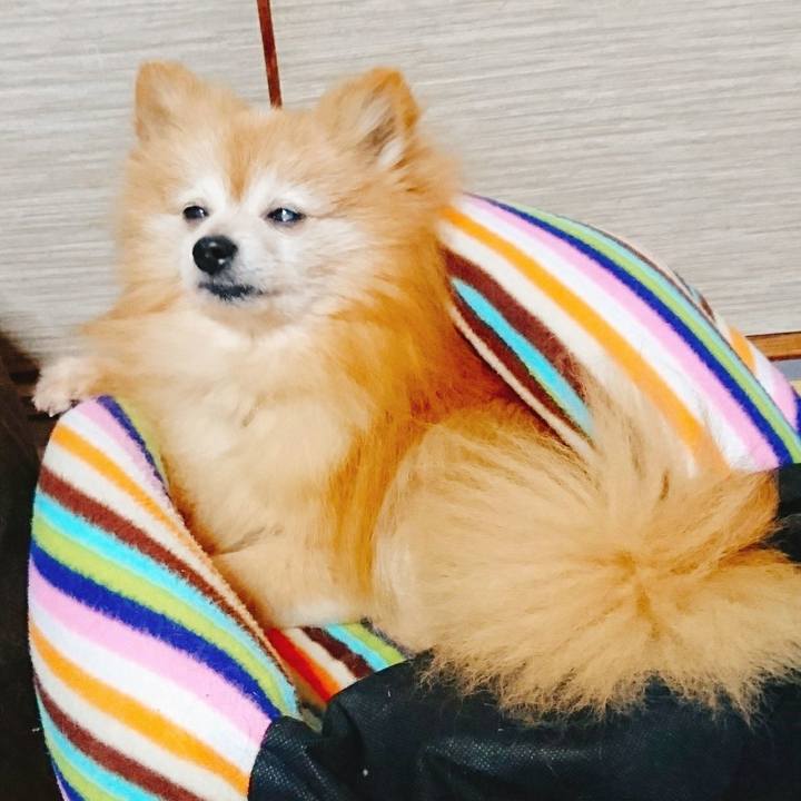 Aa555c22 5ef6 4f02 8543 5de455de72aa 1585175121882