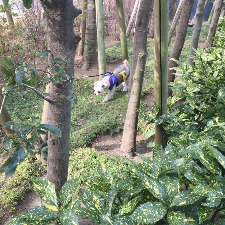 Aa559561 881b 4276 92f1 7f66885805a0 1548932204251