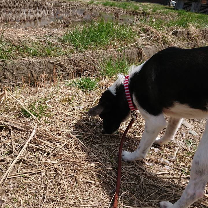 Aa559af7 0484 47c0 b097 e885f0aab702 1522552160719