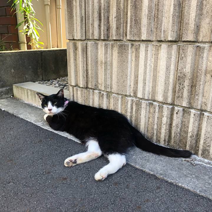 Aa55a0d0 b351 4fb2 b59e 0cb644f230bb 1629272063229