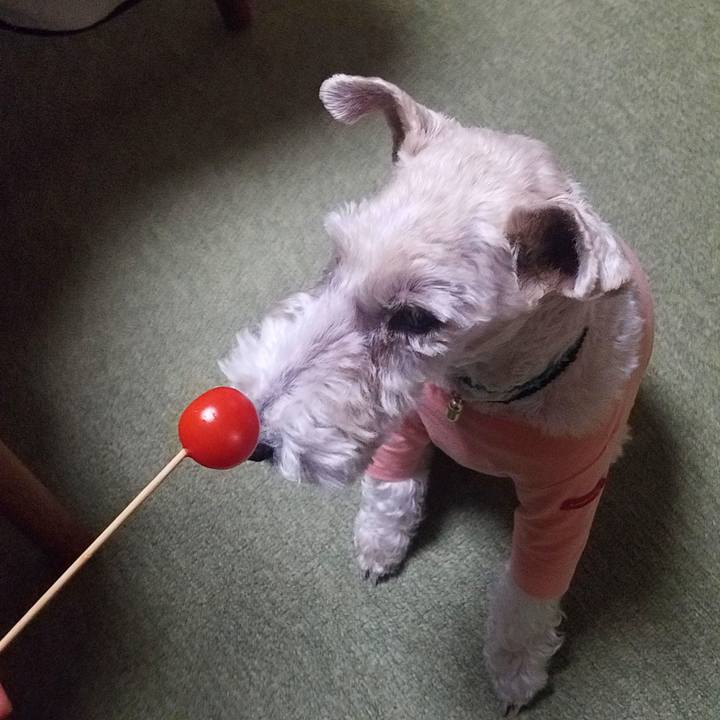 Aa55a90e 3c7d 4edc b58e b5ead8bcee4d 1548157674409