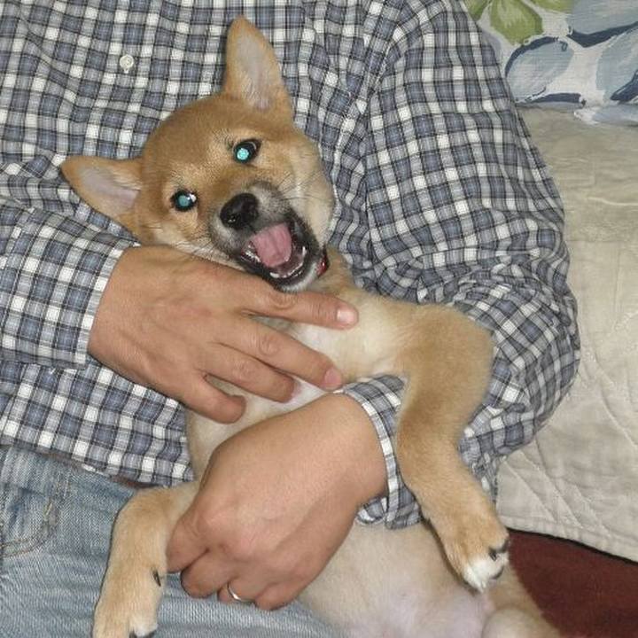 Aa55ae69 1a52 4176 a61d 80046b9b9178 1717850429852