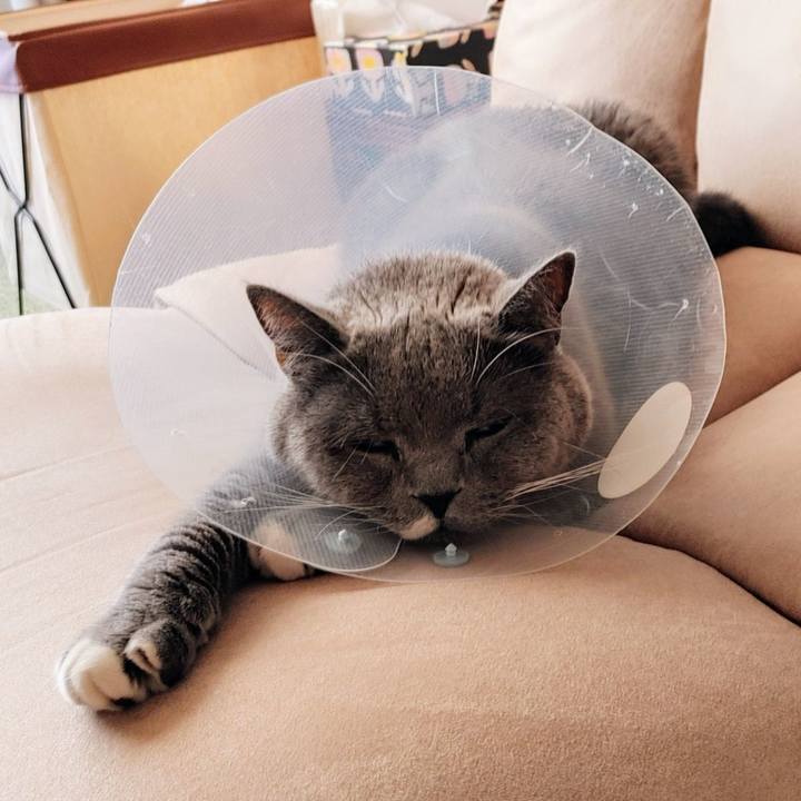 Aa55c2ba f8e0 47a9 b471 90799e730e62 1733265066149