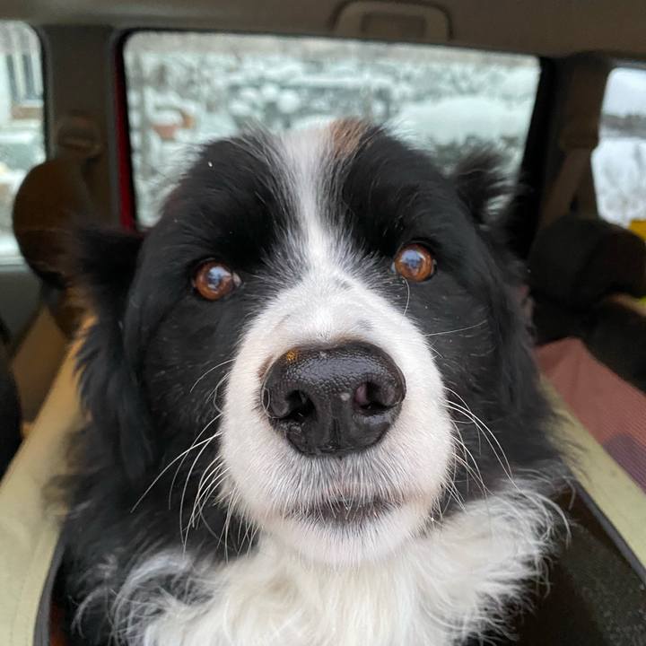 Aa56614d 87ad 463e 9b30 a03efe95b1c9 1610147982772