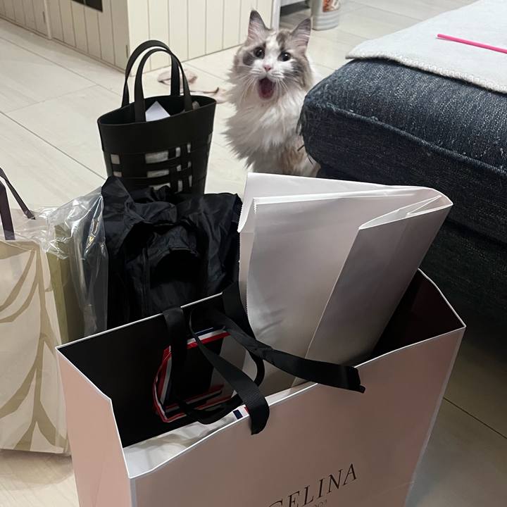 Aa566474 8f80 4797 90a1 627ffa180c71 1764162021129