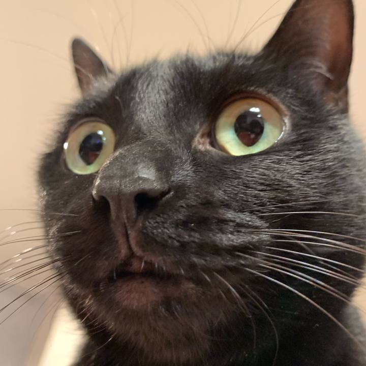 Aa5693af 2da8 479d a936 c90e273529e1 1576893371311